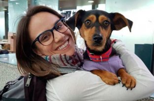Меган Дюамель спасает корейских собак (4 фото)