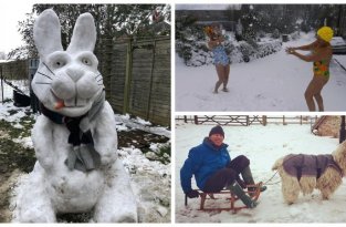 Британцы в кои веки наслаждаются настоящей зимой (21 фото)