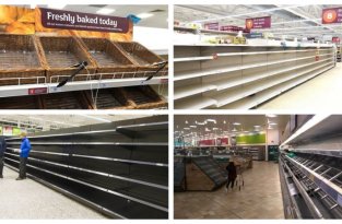 Непогода оставила британцев без хлеба и молока (12 фото)