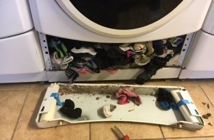 Тайна раскрыта: вот куда пропадают носки в стиральной машине (4 фото)