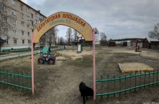 В Томской области появилась депутатская детская площадка (4 фото)