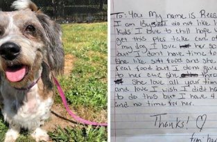 Женщина решила избавиться от собаки и подбросила её в чужой двор, приложив грустную записку (7 фото)
