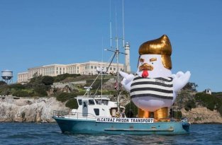 Огромный надувной заключённый цыплёнок-Трамп проплыл мимо Сан-Франциско (1 фото)