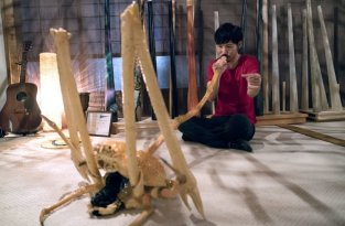Безумный японец делает музыкальные инструменты из гигантских крабов-пауков (6 фото + 2 видео)
