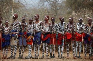 Мальчиков племени масаи посвящают в мужчины (22 фото)