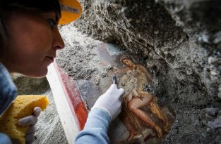 В Помпеях обнаружили эротическую фреску с женщиной и лебедем (5 фото)