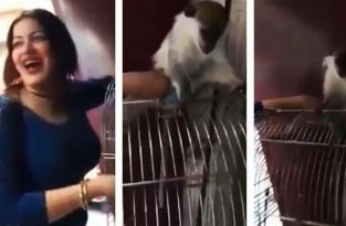 Египтянку посадили на 3 года за домогательства к обезьяне (5 фото + 1 видео)
