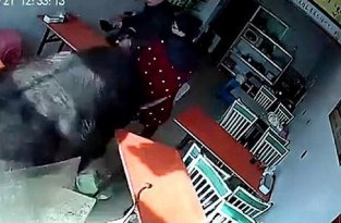 В Китае буйвол на всех парах ворвался в ресторан (3 фото + 1 видео)