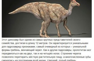 Доисторические животные, населявшие территорию современной России (10 фото)
