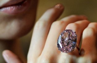 10 самых дорогих бриллиантов, проданных на аукционе (11 фото)