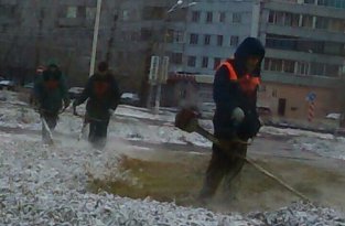 Красноярские коммунальщики постригли заснеженный газон (фото)