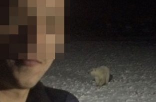 Взорвавший белую медведицу мужчина отделался штрафом в 3000 рублей (фото)