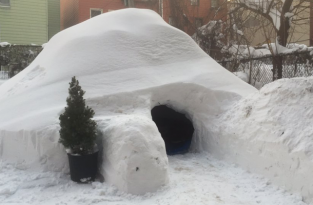 После снежной бури в Бруклине мужчина построил иглу и выставил зимнее жилище в аренду (8 фото)