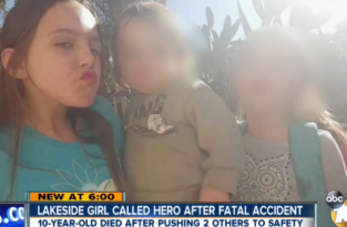 10-летняя девочка из Калифорнии спасла двух маленьких детей от гибели под колёсами автомобиля ценой собственной жизни (2 фото)