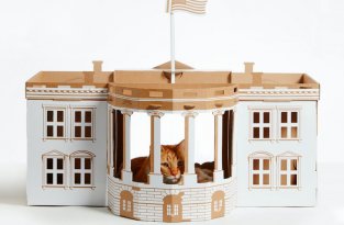 7 картонных домиков для кошек, смоделированных на основе известных архитектурных сооружений (8 фото)