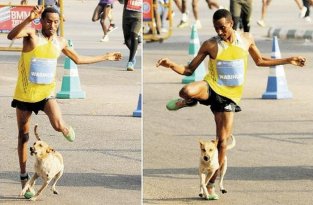 Неудачливый эфиопский бегун проиграл марафон и был атакован собакой (2 фото)
