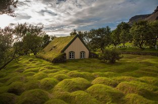 30 сказочных скандинавских домиков с живой крышей (30 фото)