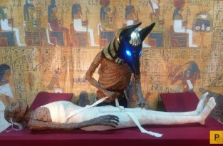 Необычные результаты исследования мумий (11 фото)