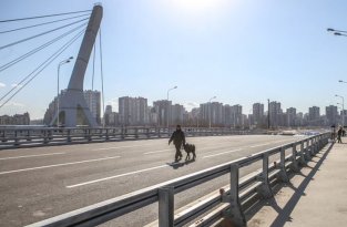 Разлад в Совете Героев Петербурга из-за моста Кадырова (2 фото)