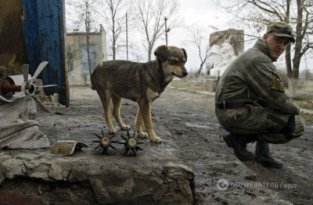 Россия свернет удочки и уйдет: эксперт рассказал, как “в кратчайшие сроки” закончить войну на Донбассе