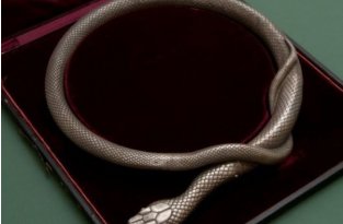 Змея с секретом (5 фото)