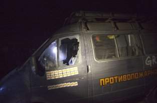 В Краснодарском крае избиты активисты Greenpeace (4 фото)