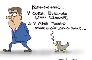 Имение Медведева: Утки спорили на даче, у кого премьер богаче