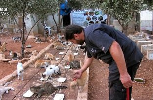 «Человек-кот из Алеппо» остался в разрушенном войной городе, чтобы ухаживать за домашними питомцами (7 фото)