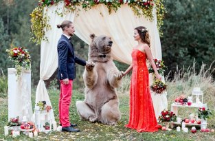 Свадьба по-русски: медведь благословляет жениха и невесту (12 фото)