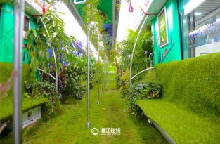 В Китае вагон метро превратили в зеленый лес (7 фото)