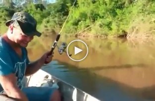 Бразильские рыбаки напоили рыбу пивом