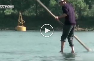 Китаец ежедневно плавает на работу на бамбуковой палке