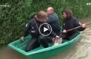 Французские полицейские во время наводнения