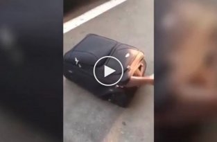 Африканский нелегал приехал в Швейцарию в чемодане 