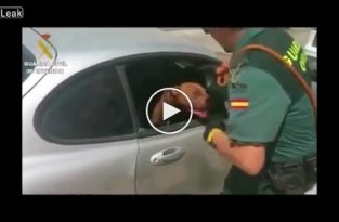 Полицейские спасли собаку из машины 