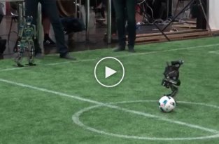 Роботы играют в футбол   