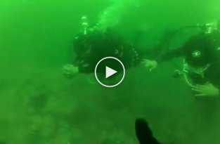 Паническая атака у дайвера на глубине 15 метров  