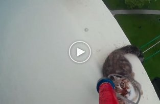 Cпасение крошечного котенка, застрявшего на 12-м этаже  