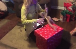 Трогательная реакция девушки, получившей в подарок на Рождество щенка