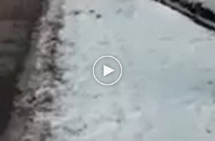В Алматы коммунальщики присыпают грязный снег чистым