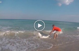 Спасение акулы во Флориде