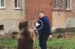Житель Таганрога выгуливает медведя