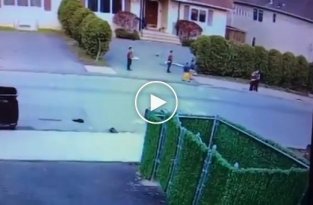 Жестокое нападение бойцовской собаки на трёхлетнего ребенка попало на видео
