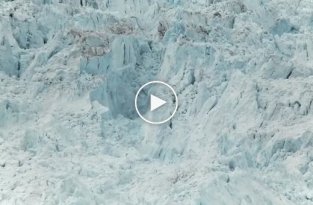 Они установили камеру на отдаленном участке в Гренландии. То, что они там засняли — ужасает!