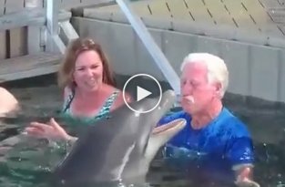 Мужчина захотел обнять дельфина но в итоге они начали делать другие вещи