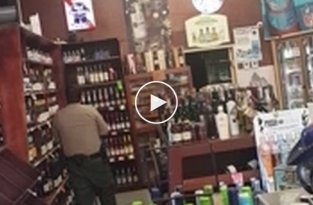 Дикий павлин устроил погром в американском ликеро-водочном магазине