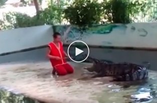Крокодил укусил дрессировщика за голову на глазах у туристов