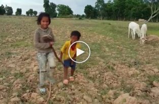 Камбоджийские дети голыми руками ловят змей