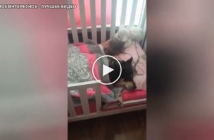 Мама засняла на видео как мило спит ее дочь вместе с собакой