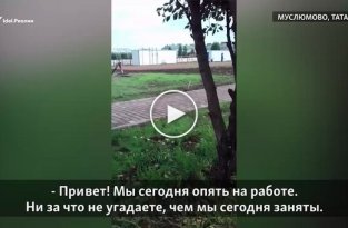 В Татарстане учителей заставили мыть деревья